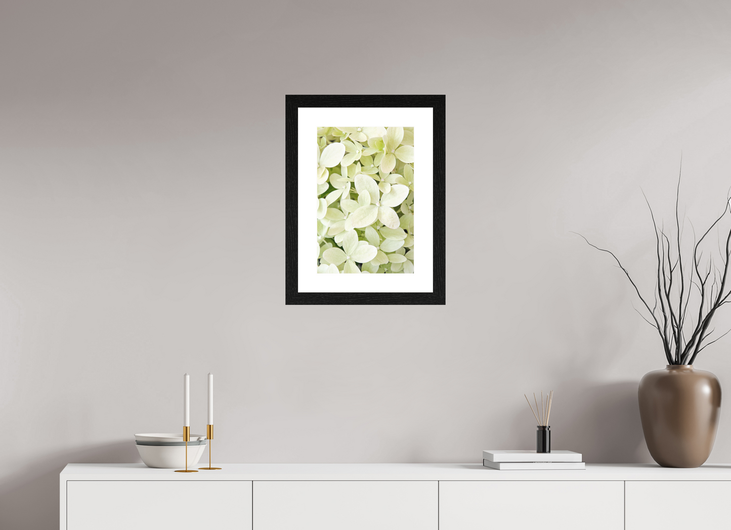 Hydrangea Paniculata