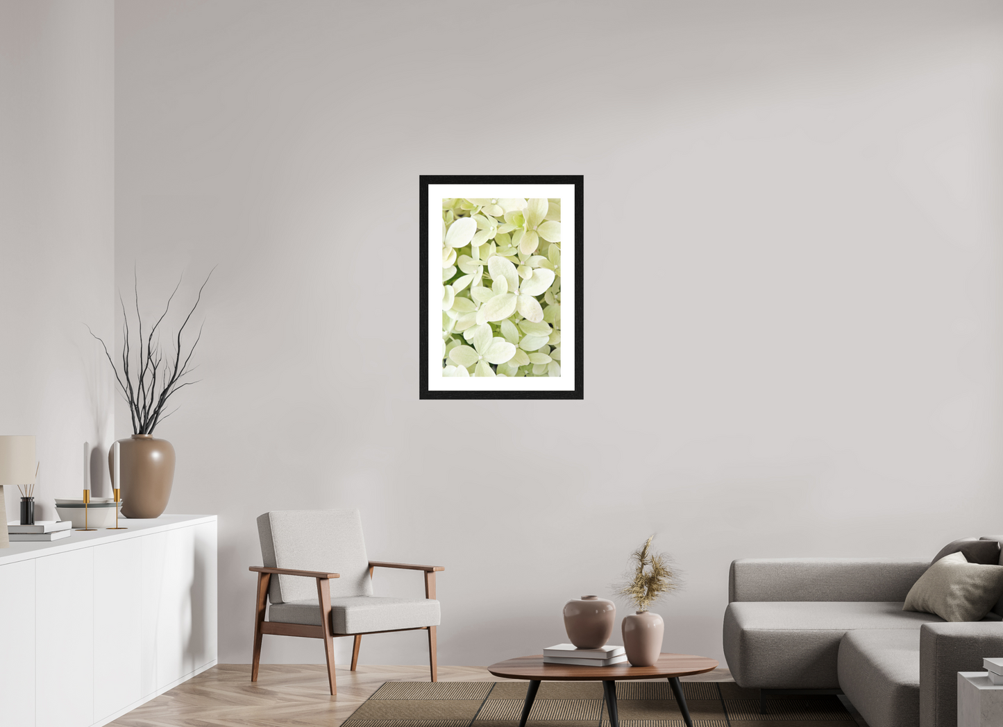 Hydrangea Paniculata