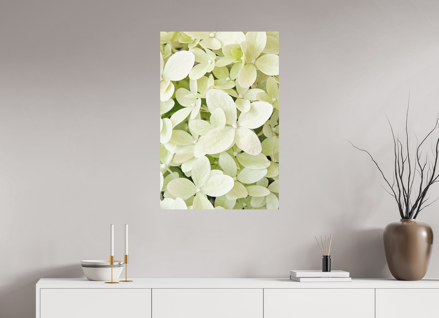 Hydrangea Paniculata