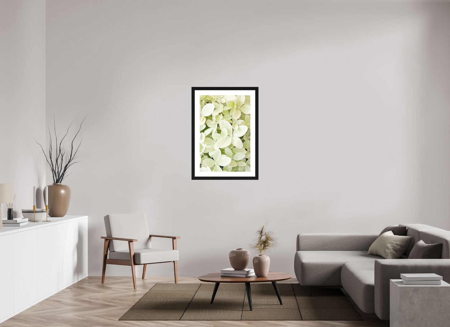 Hydrangea Paniculata