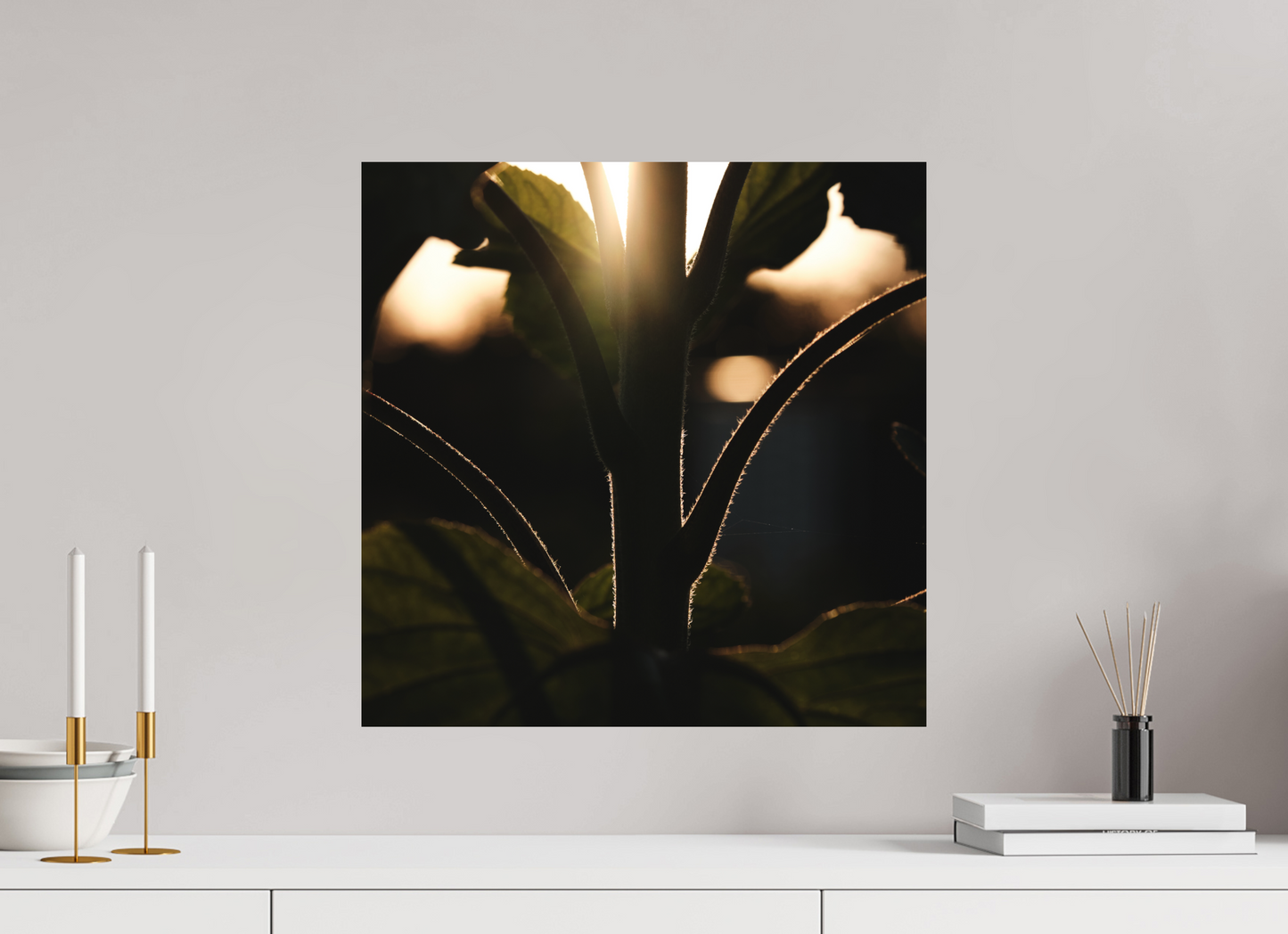 Lifestyle foto van kunstprint van zonnebloem steel bij zonsondergang voor kunstprint van 50x50cm