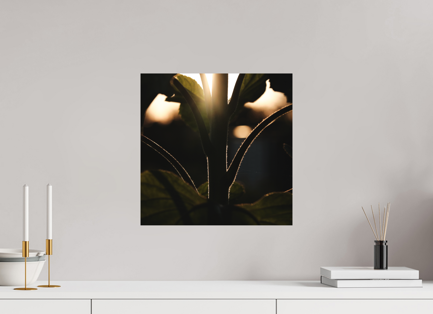 Lifestyle foto van kunstprint van zonnebloem steel bij zonsondergang voor kunstprint van 40x40cm