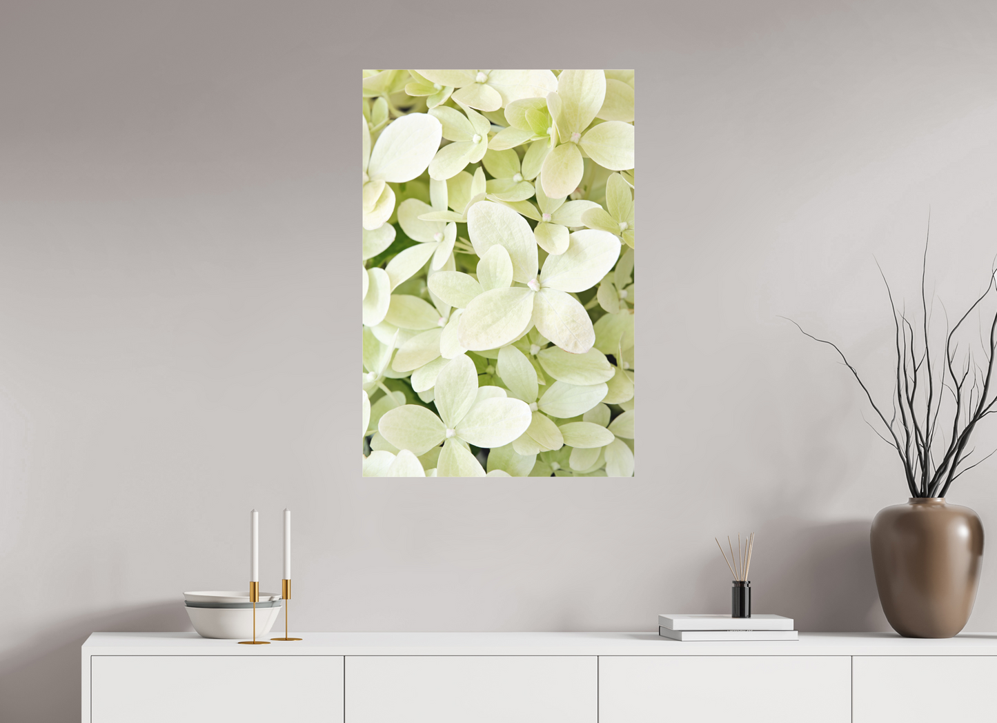 Hydrangea Paniculata