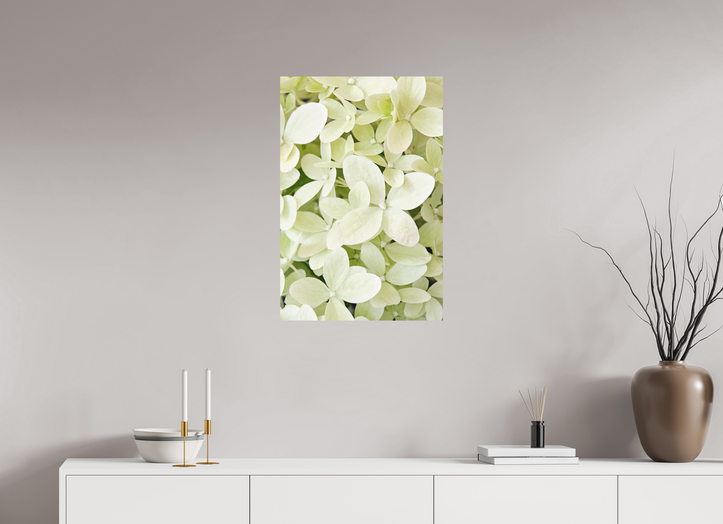Hydrangea Paniculata