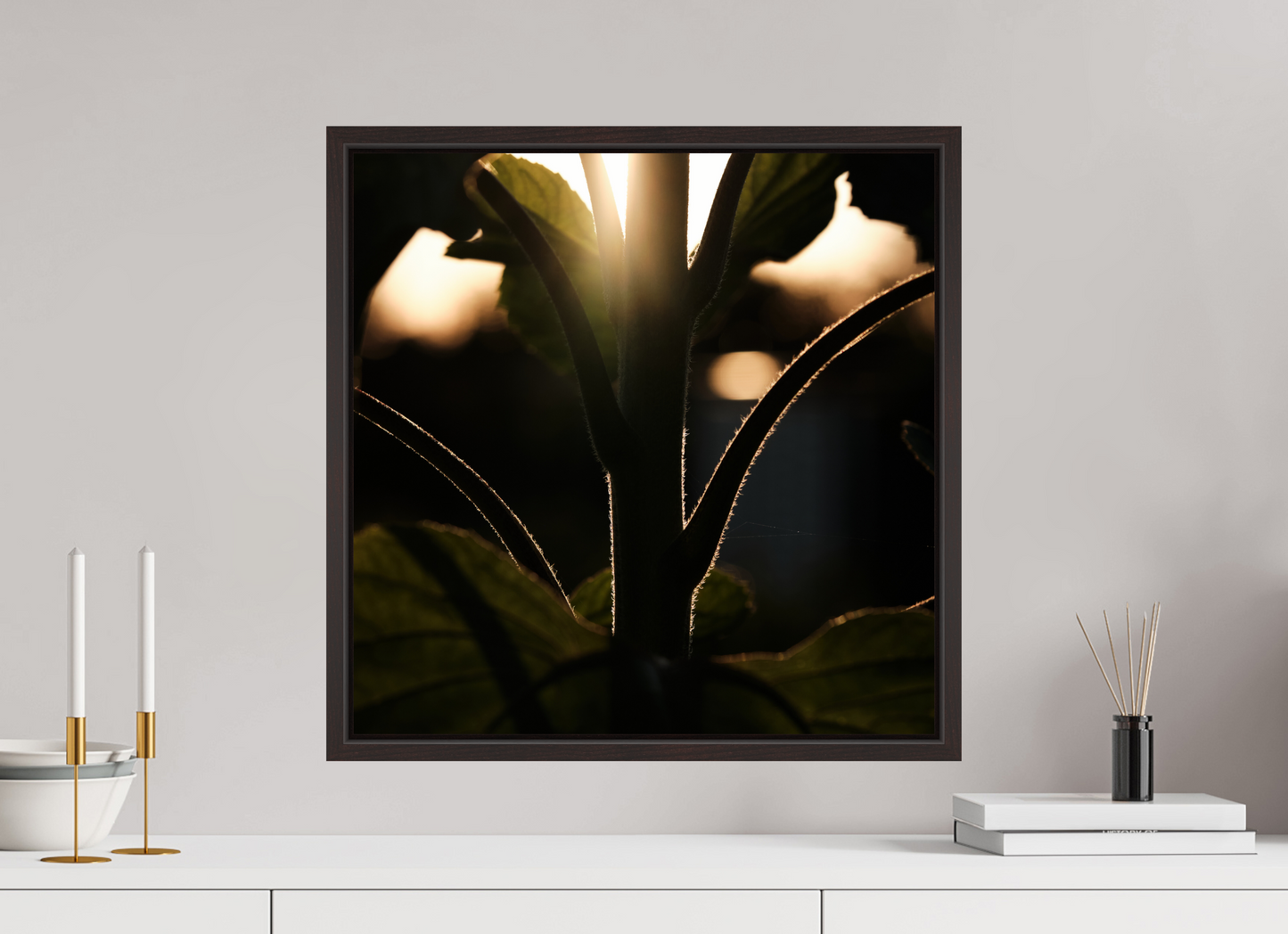 Lifestyle foto van een kunstprint van zonnebloem steel bij zonsondergang ingelijst in een houten galerielijst met schaduwvoeg van 50x50cm.