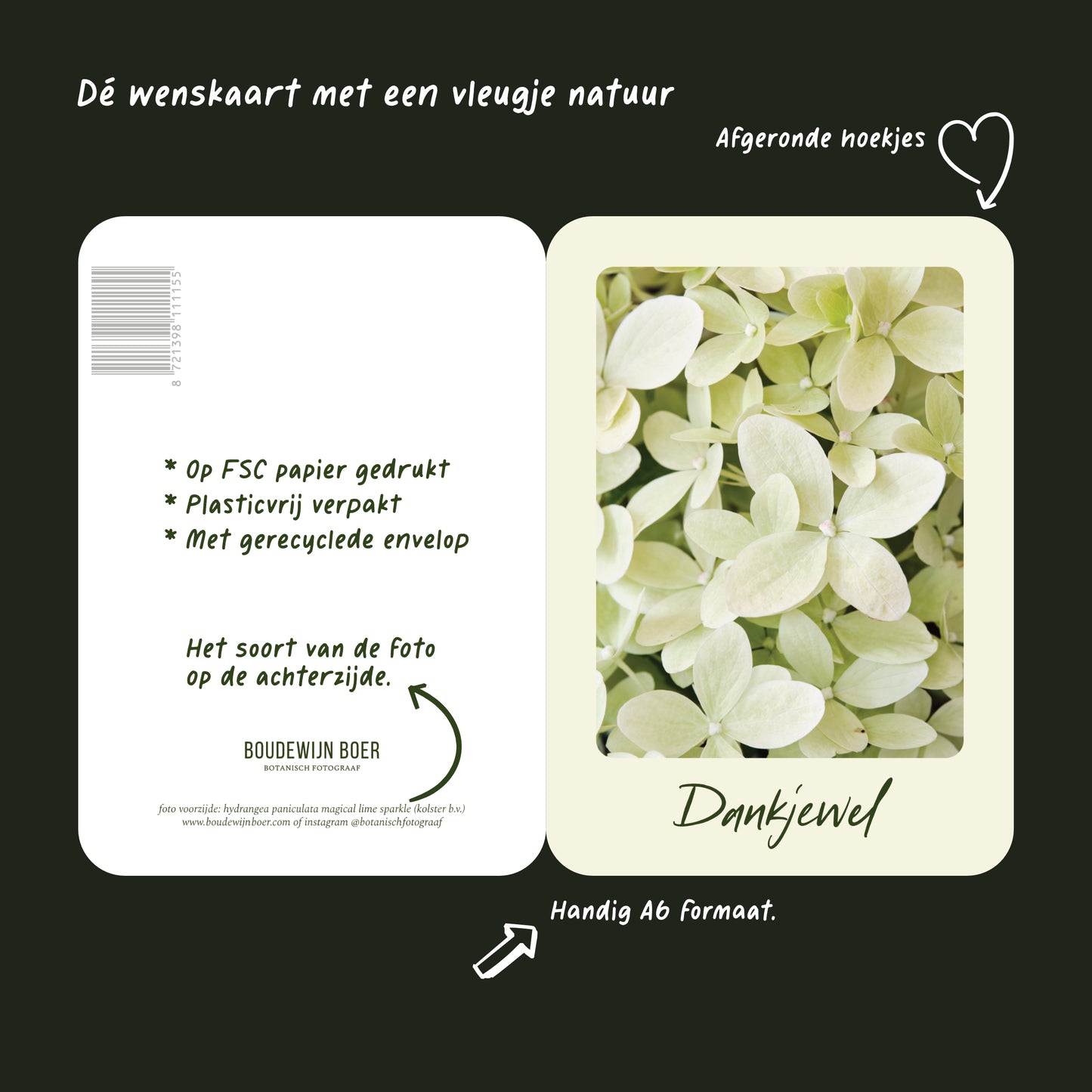 Productfoto met de unieke eigenschappen van een wenskaart met de tekst "dankjewel" met een foto van een licht groene Hortensia.