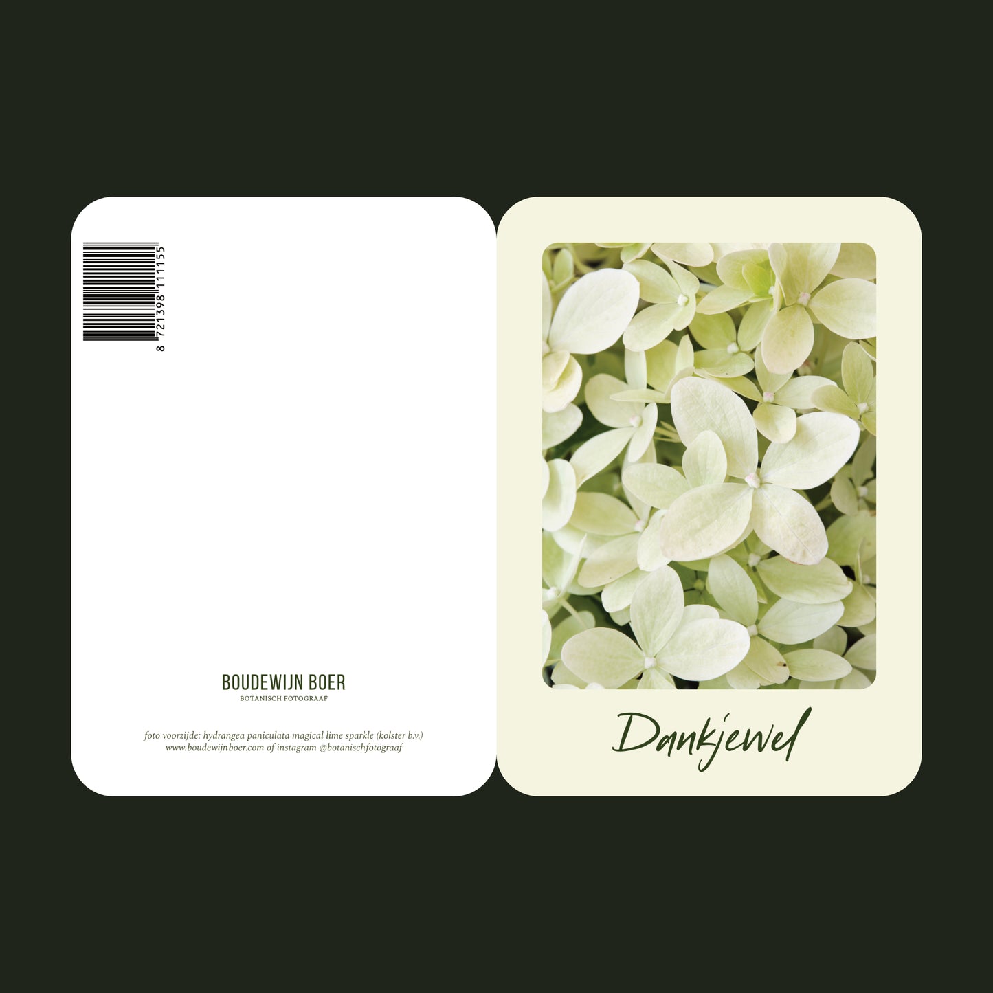 Voor- en achterzijde van een wenskaart met de tekst "dankjewel" met een foto van een licht groene Hortensia.