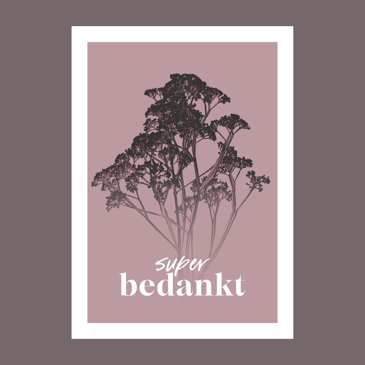 Productfoto van een wenskaart met de tekst "super bedankt". Op de kaart een oud roze foto van Gipskruid in een abstracte opstelling.