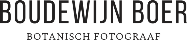 Logo van botanisch fotograaf Boudewijn Boer.