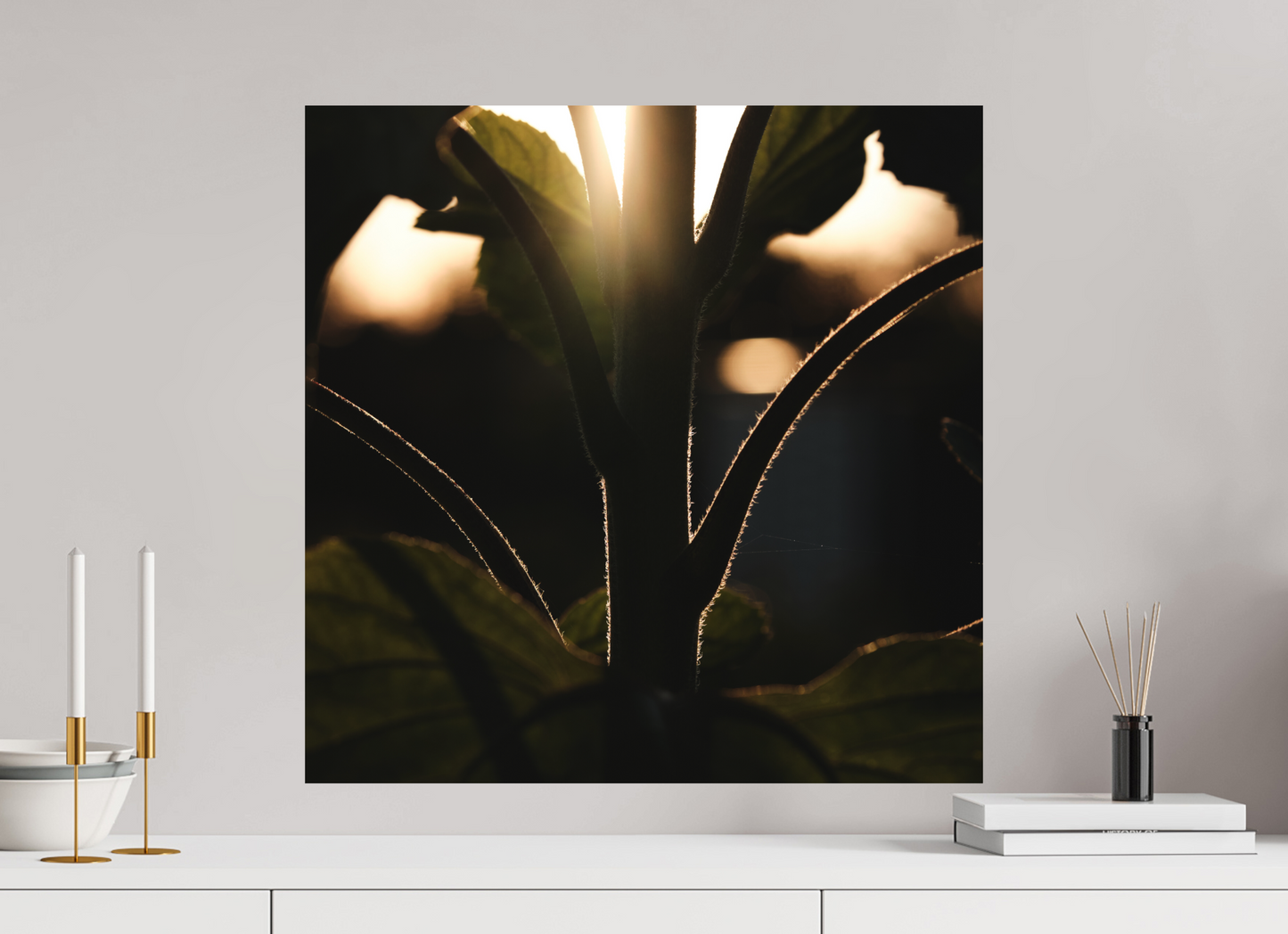 Lifestyle foto van kunstprint van zonnebloem steel bij zonsondergang voor kunstprint van 60x60cm