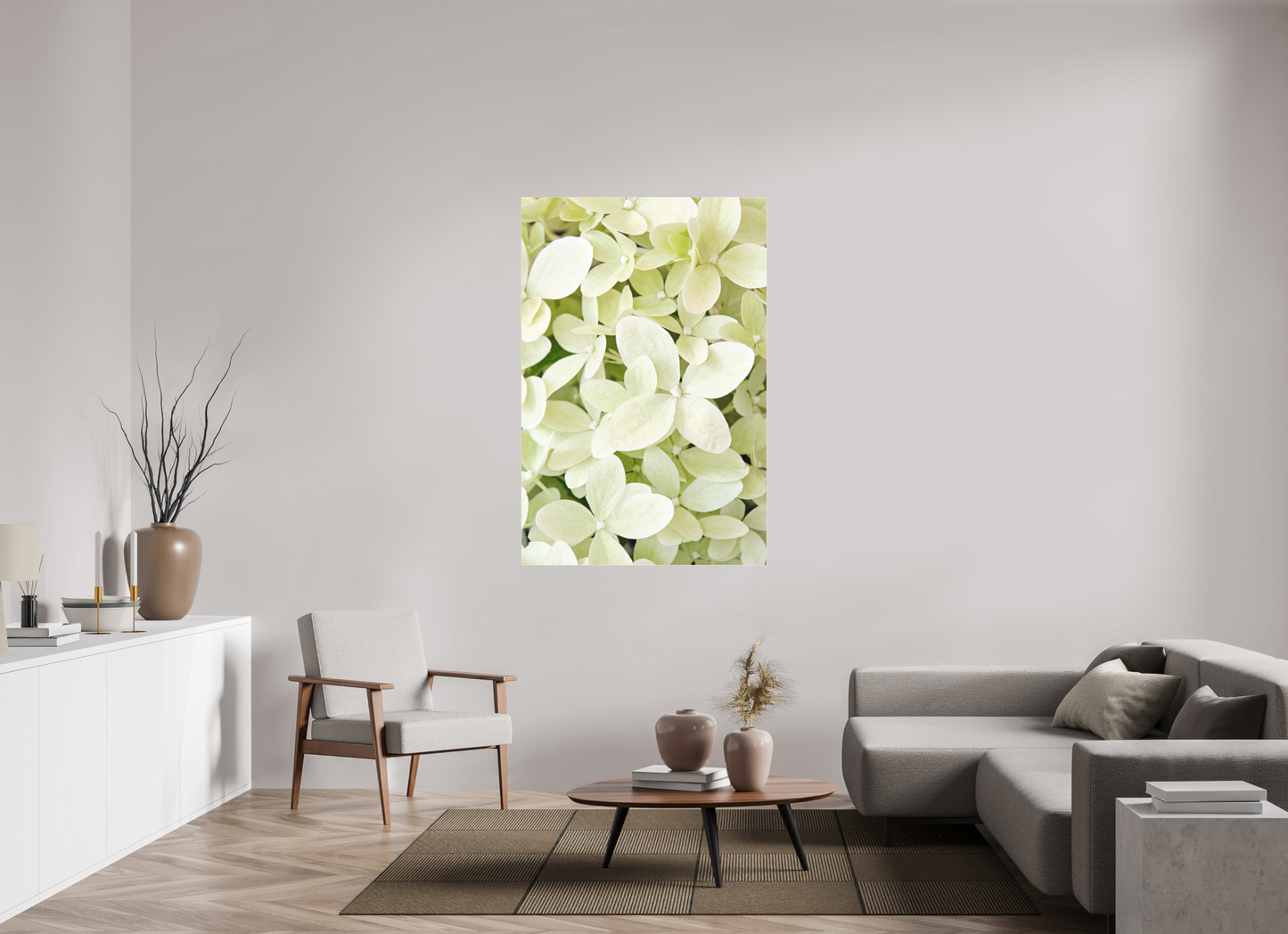 Hydrangea Paniculata