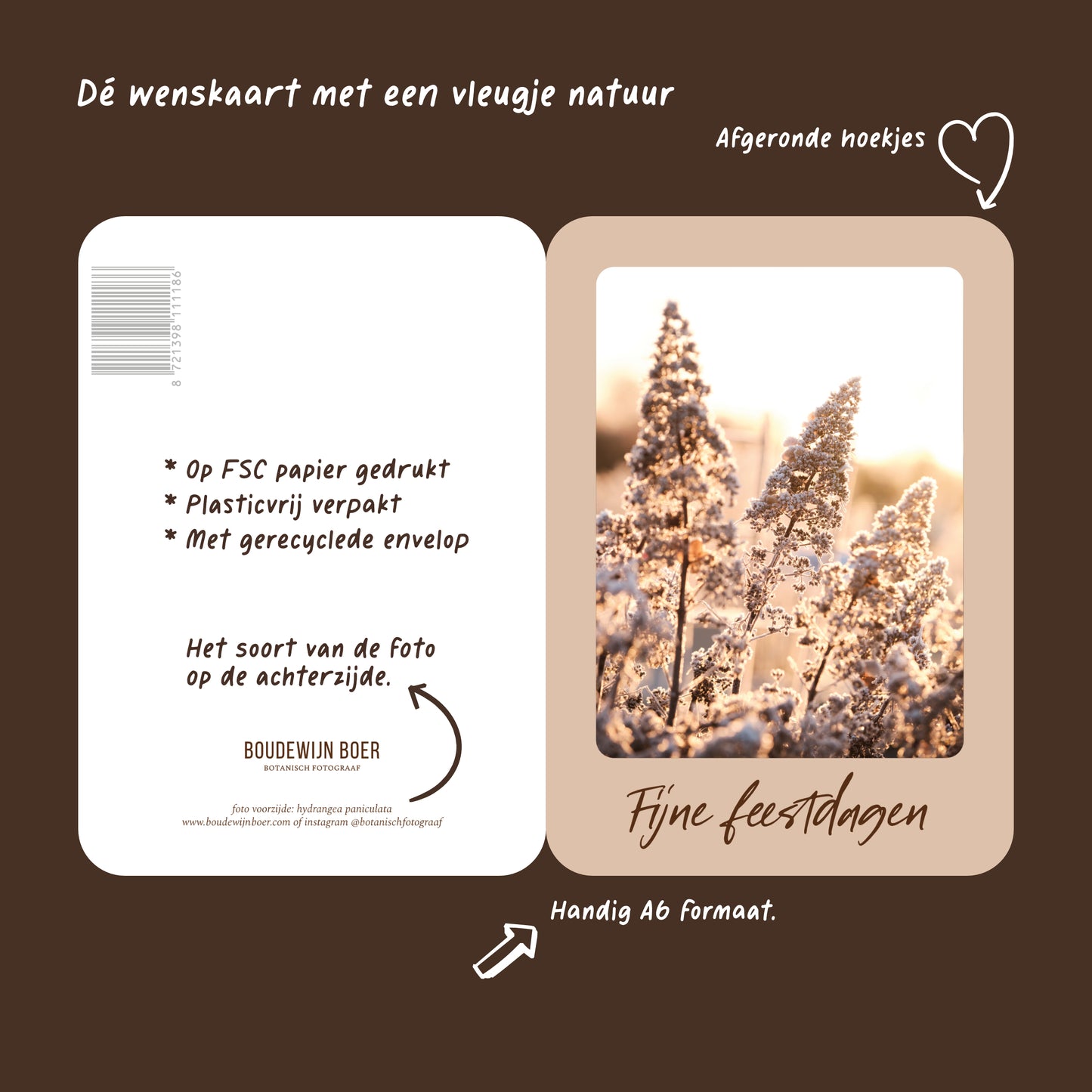 Productfoto met de unieke eigenschappen van een beige kerstkaart met de tekst "fijne feestdagen". Op de kaart een foto van een Hortensia met vorst.