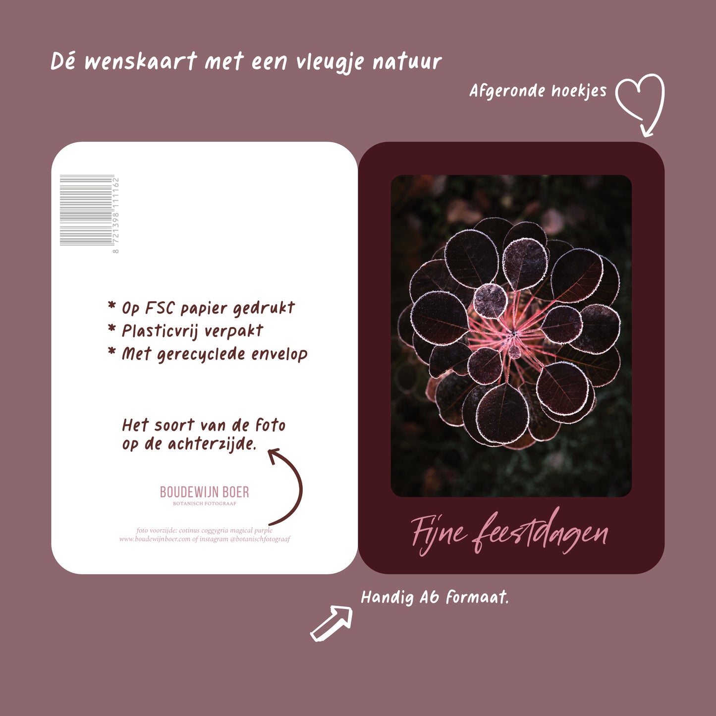 Productfoto met de unieke eigenschappen van een rode kerstkaart met de tekst "fijne feestdagen". Op de kaart een foto van een Cotinus.
