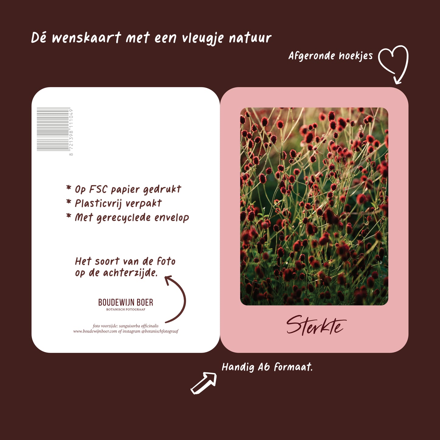 Productfoto met de unieke eigenschappen van een wenskaart met de tekst "sterkte" met een foto van een veld Pimpernellen bij ondergaande zon.