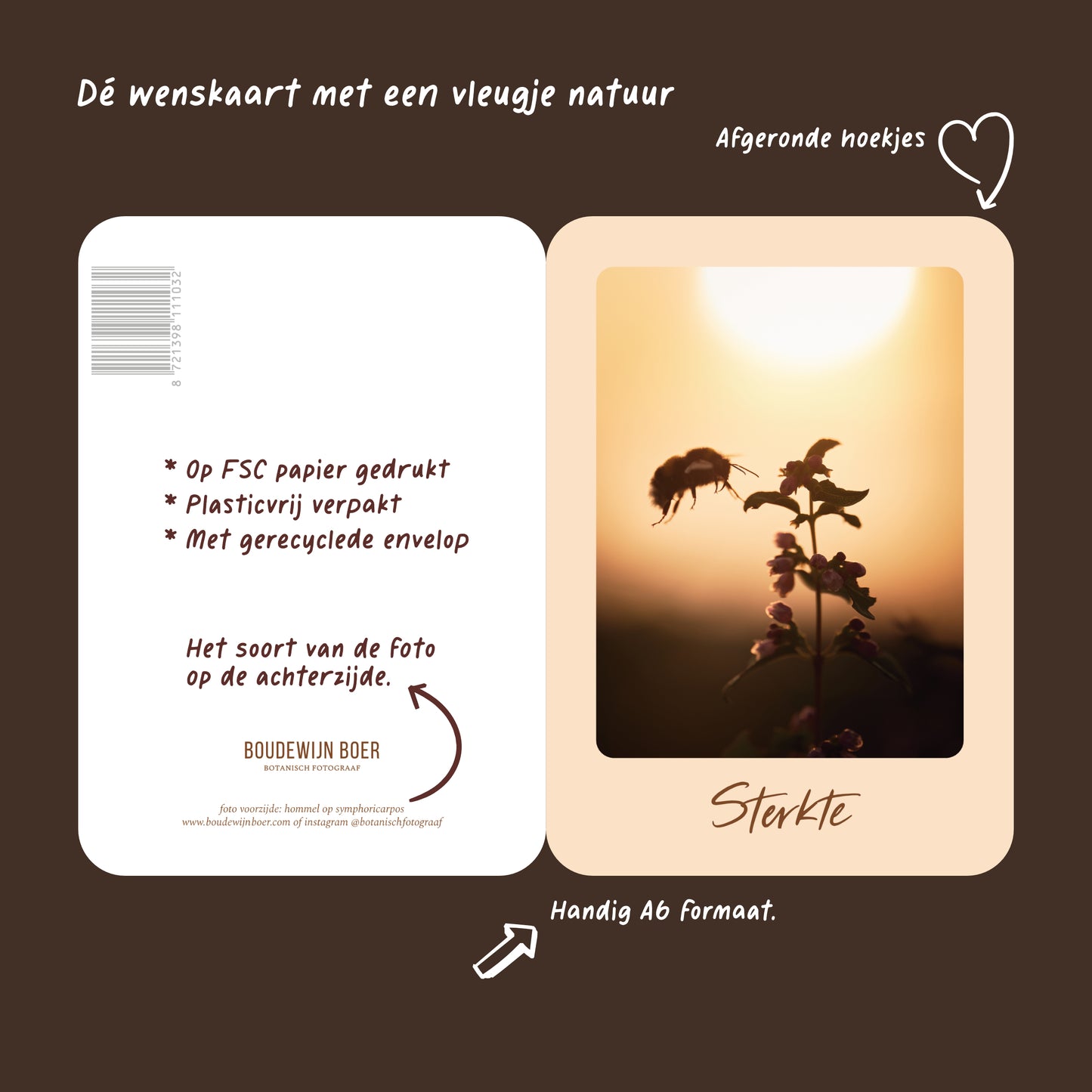 Productfoto met de unieke eigenschappen van een wenskaart met de tekst "sterkte" met een foto van een sneeuwbes bij ondergaande zon en een hommel die landt op de besjes.