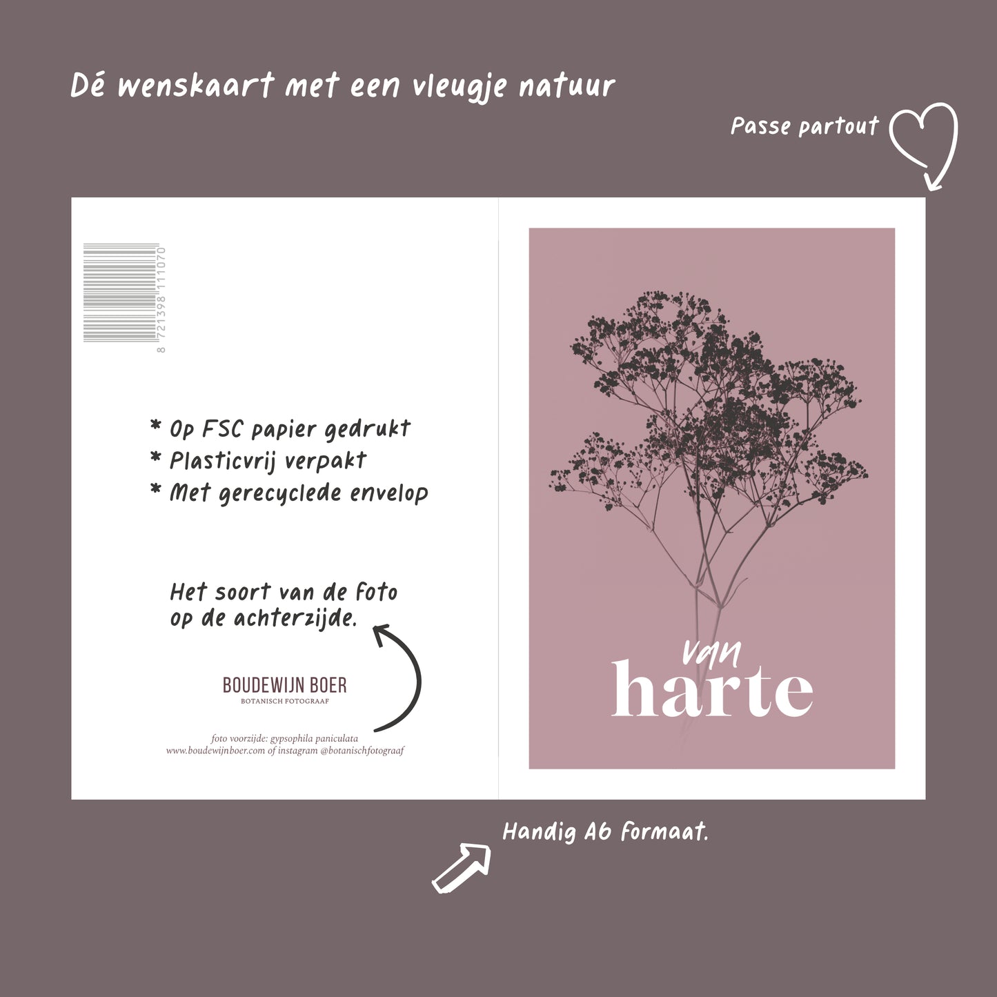 Productfoto met de unieke eigenschappen van een verjaardagskaart met de tekst "van harte". Op de kaart een oud roze foto van Gipskruid in een abstracte opstelling.