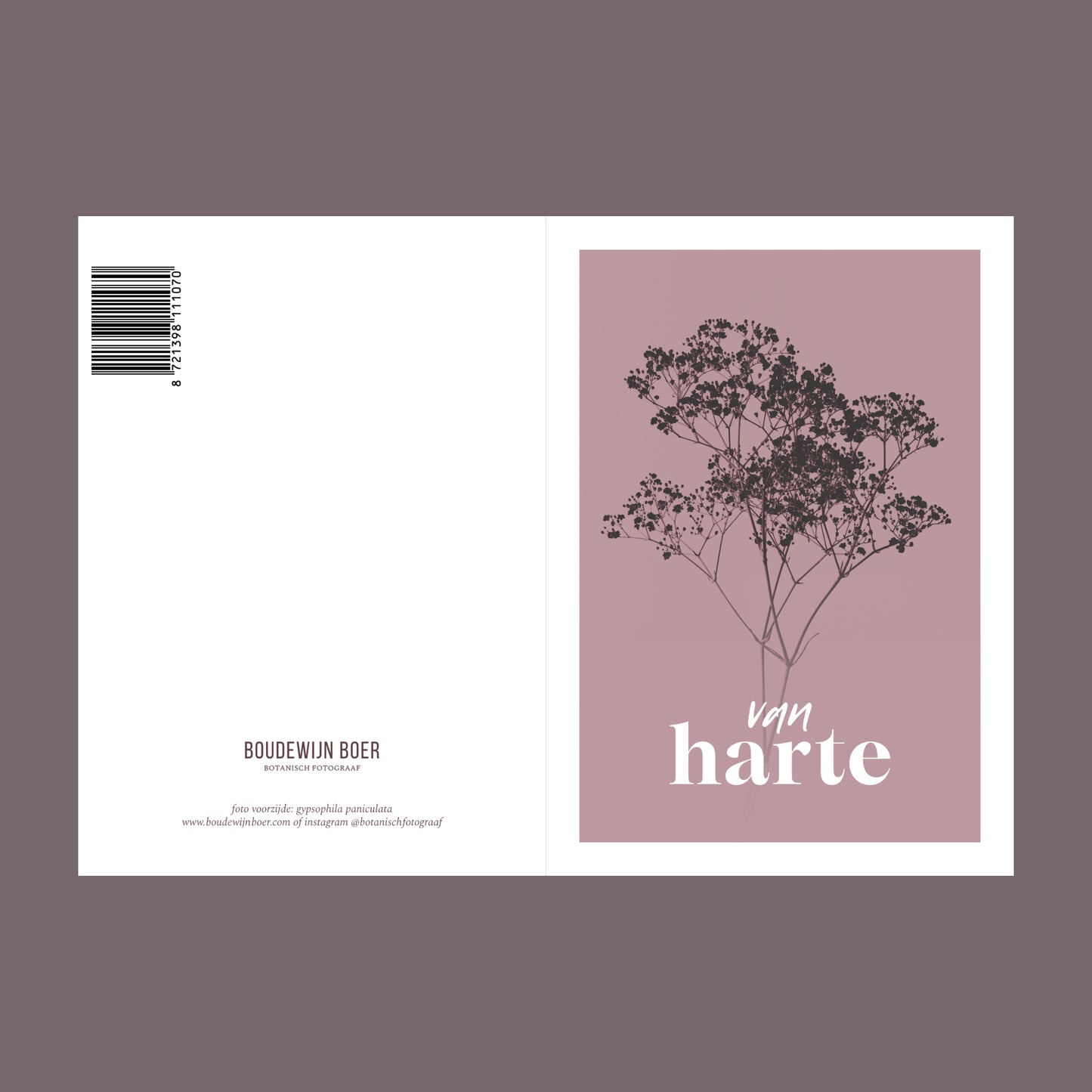 Voor- en achterzijde van een verjaardagskaart met de tekst "van harte". Op de kaart een oud roze foto van Gipskruid in een abstracte opstelling.