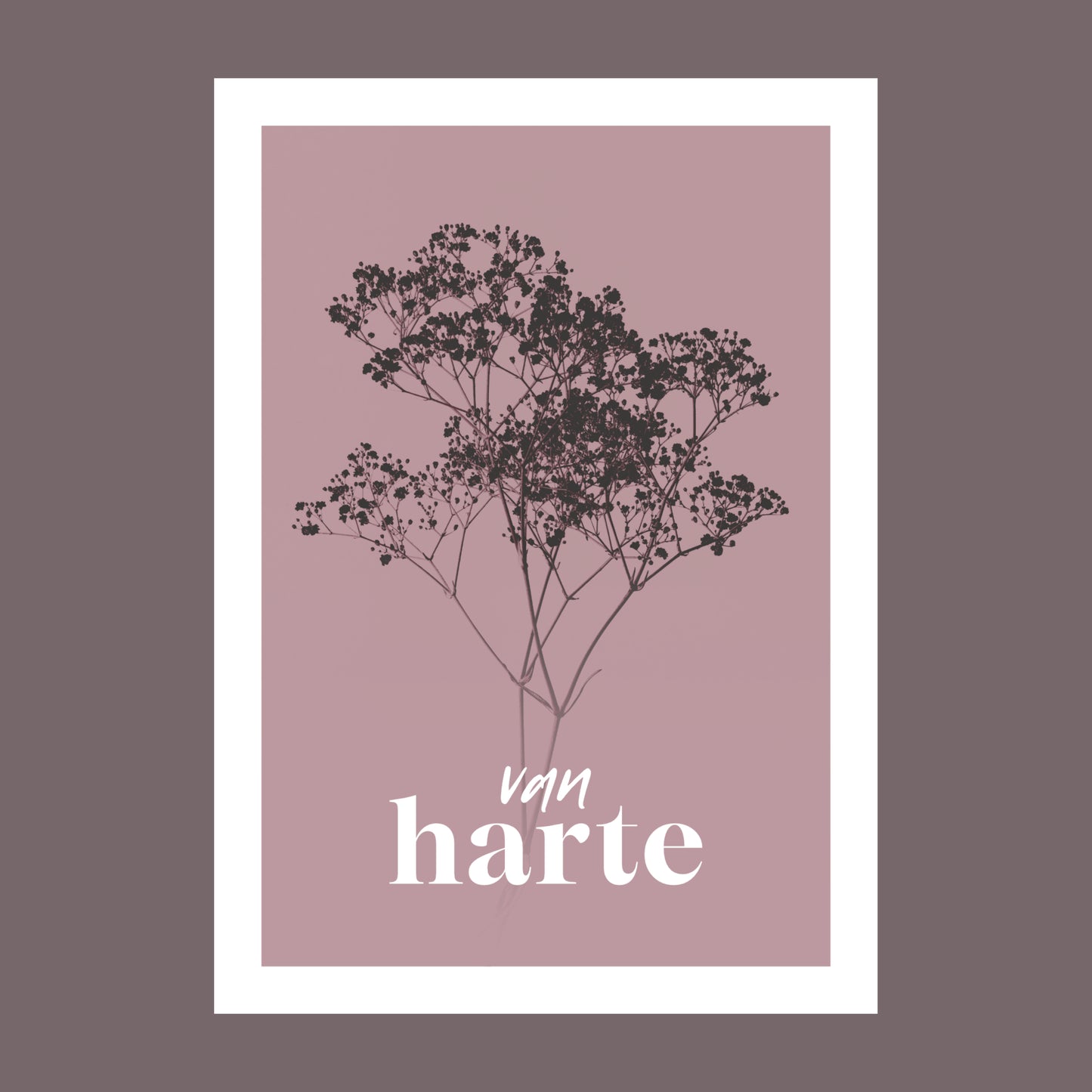 Productfoto van een verjaardagskaart met de tekst "van harte". Op de kaart een oud roze foto van Gipskruid in een abstracte opstelling.