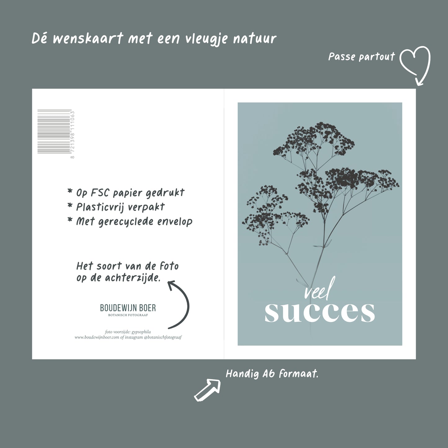 Productfoto met de unieke eigenschappen van een wenskaart met de tekst "veel succes". Op de kaart een licht blauwe foto van Gipskruid in een abstracte opstelling.