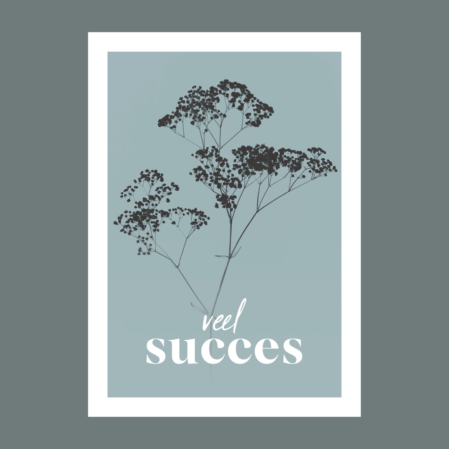 Productfoto van een wenskaart met de tekst "veel succes". Op de kaart een licht blauwe foto van Gipskruid in een abstracte opstelling.