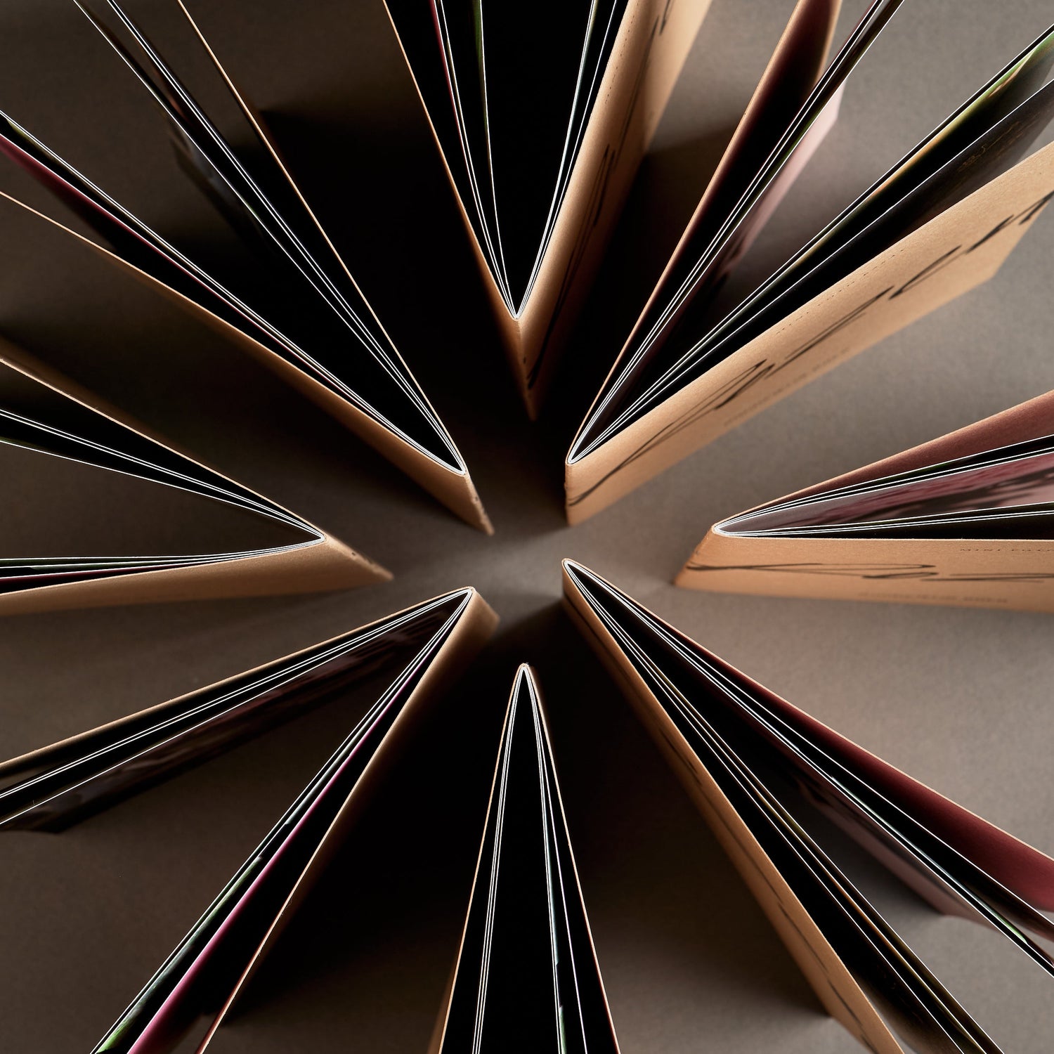 Bovenaanzicht van meerdere opengeslagen fotoboeken met bruine omslag, in een cirkelvormige opstelling op een neutrale achtergrond.
