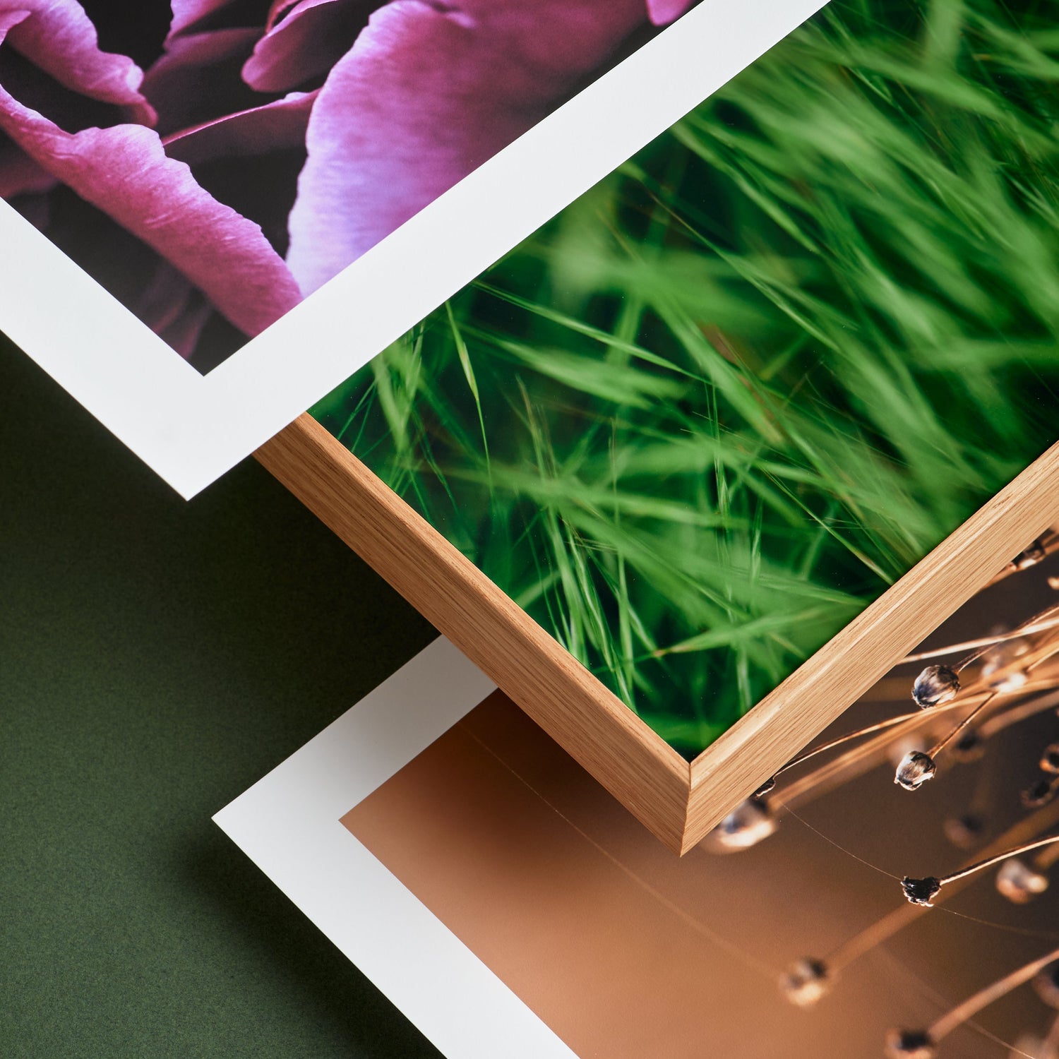 Close-up van drie botanische fotokunstwerken: een paarse bloem, groene grassprieten in een houten lijst en gedroogde zaadhoofden op een bruine achtergrond, liggend op een donkergroene ondergrond.