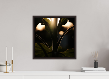 Lifestyle foto van een kunstprint van zonnebloem steel bij zonsondergang ingelijst in een houten galerielijst met schaduwvoeg van 40x40cm.