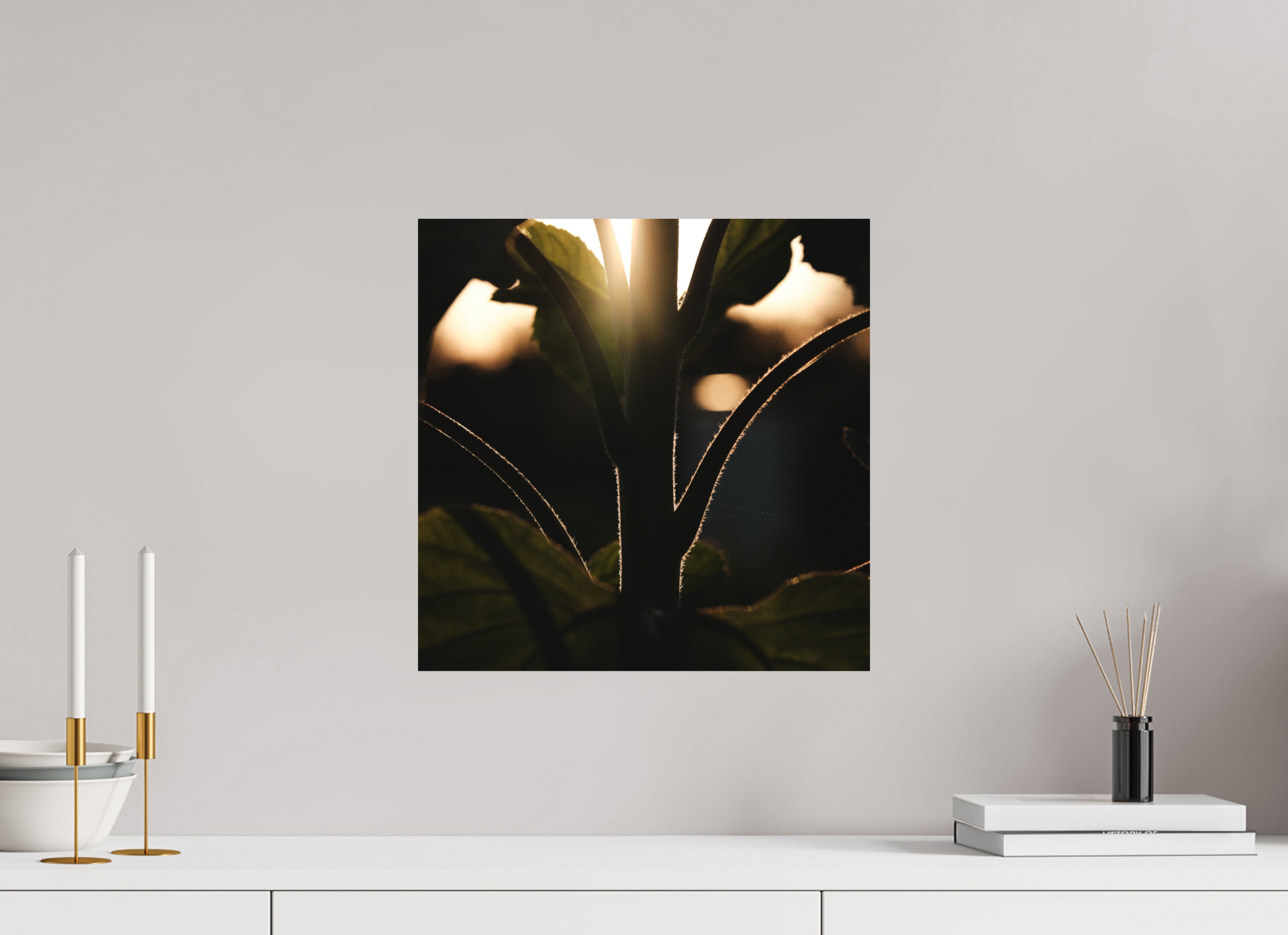 Lifestyle foto van kunstprint van zonnebloem steel bij zonsondergang voor kunstprint van 40x40cm