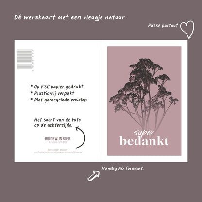 Productfoto met de unieke eigenschappen van een wenskaart met de tekst "super bedankt". Op de kaart een oud roze foto van Gipskruid in een abstracte opstelling. 