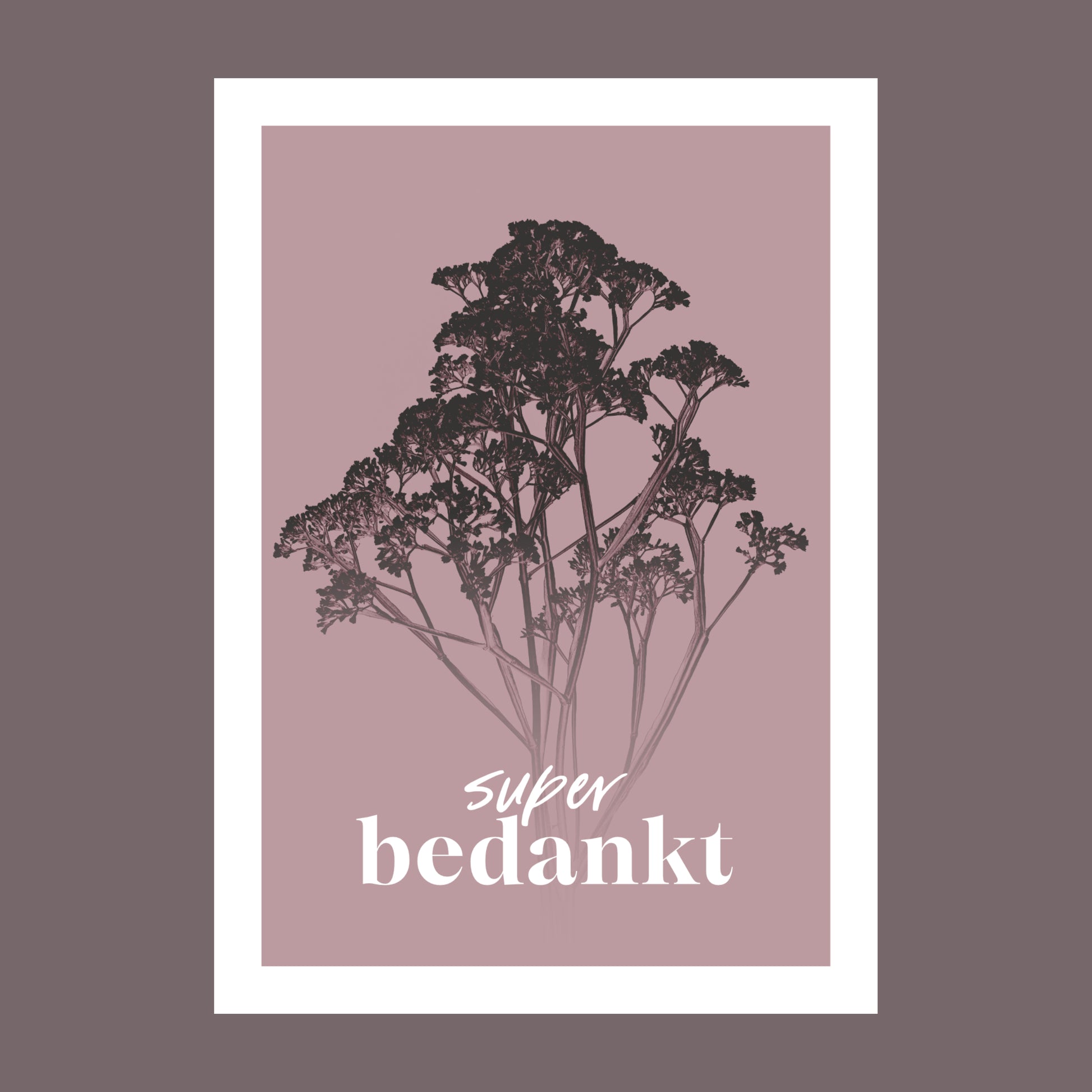 Productfoto van een wenskaart met de tekst "super bedankt". Op de kaart een oud roze foto van Gipskruid in een abstracte opstelling. 