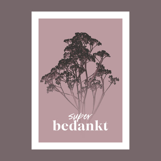 Productfoto van een wenskaart met de tekst "super bedankt". Op de kaart een oud roze foto van Gipskruid in een abstracte opstelling. 