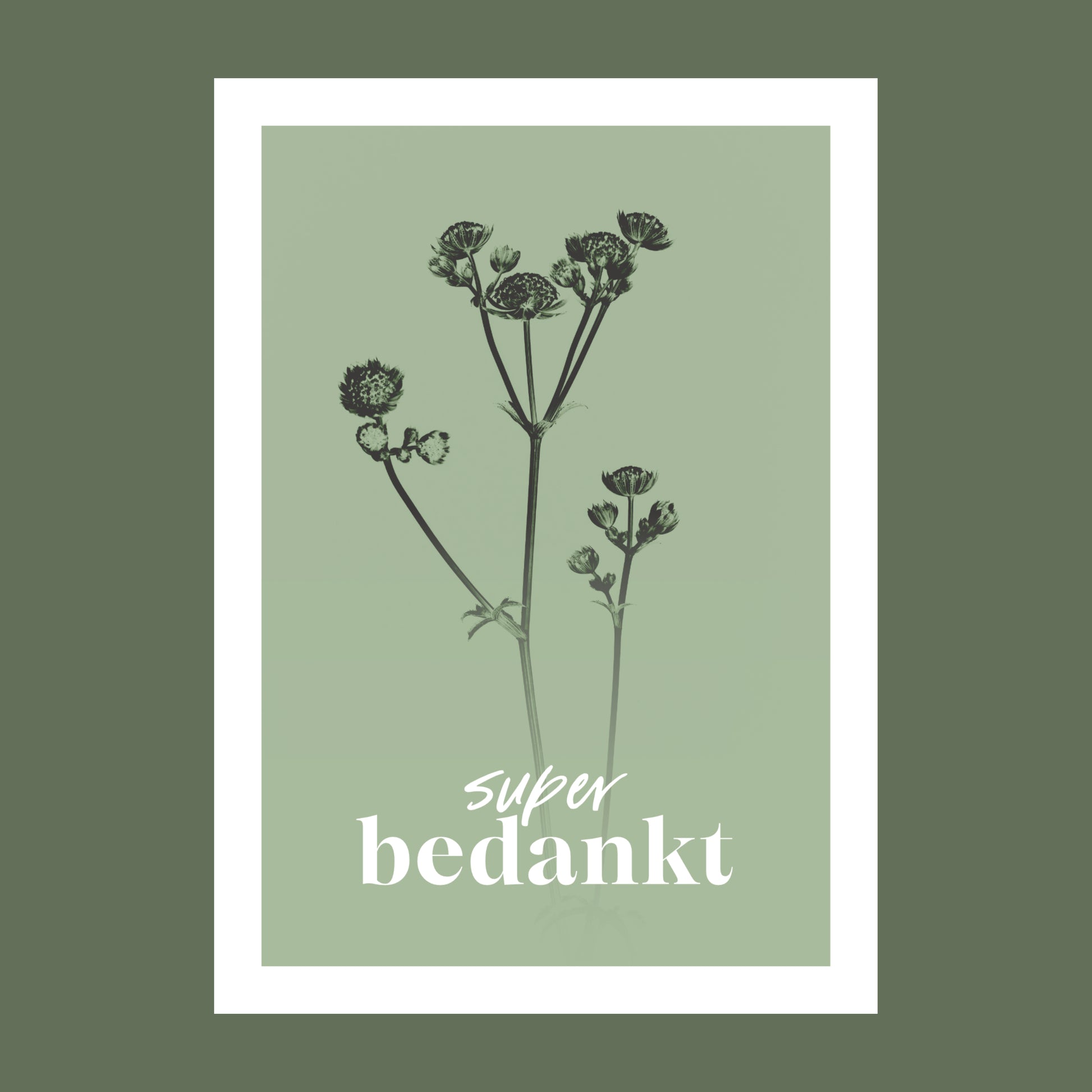 Productfoto van een bedank kaart met de tekst "super bedankt". Op de kaart een licht groene foto van een Zeeuws Knoopje in een abstracte opstelling. 