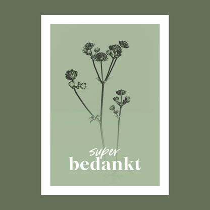 Productfoto van een bedank kaart met de tekst "super bedankt". Op de kaart een licht groene foto van een Zeeuws Knoopje in een abstracte opstelling. 