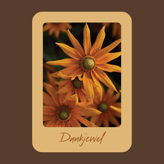 Productfoto van een wenskaart met de tekst "dankjewel" met een foto van een gele bloem. 