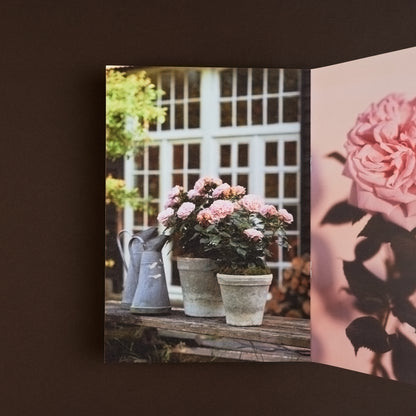 Spread van fotoboekje over rozen met een sfeervolle buitenfoto en roze studiofoto.