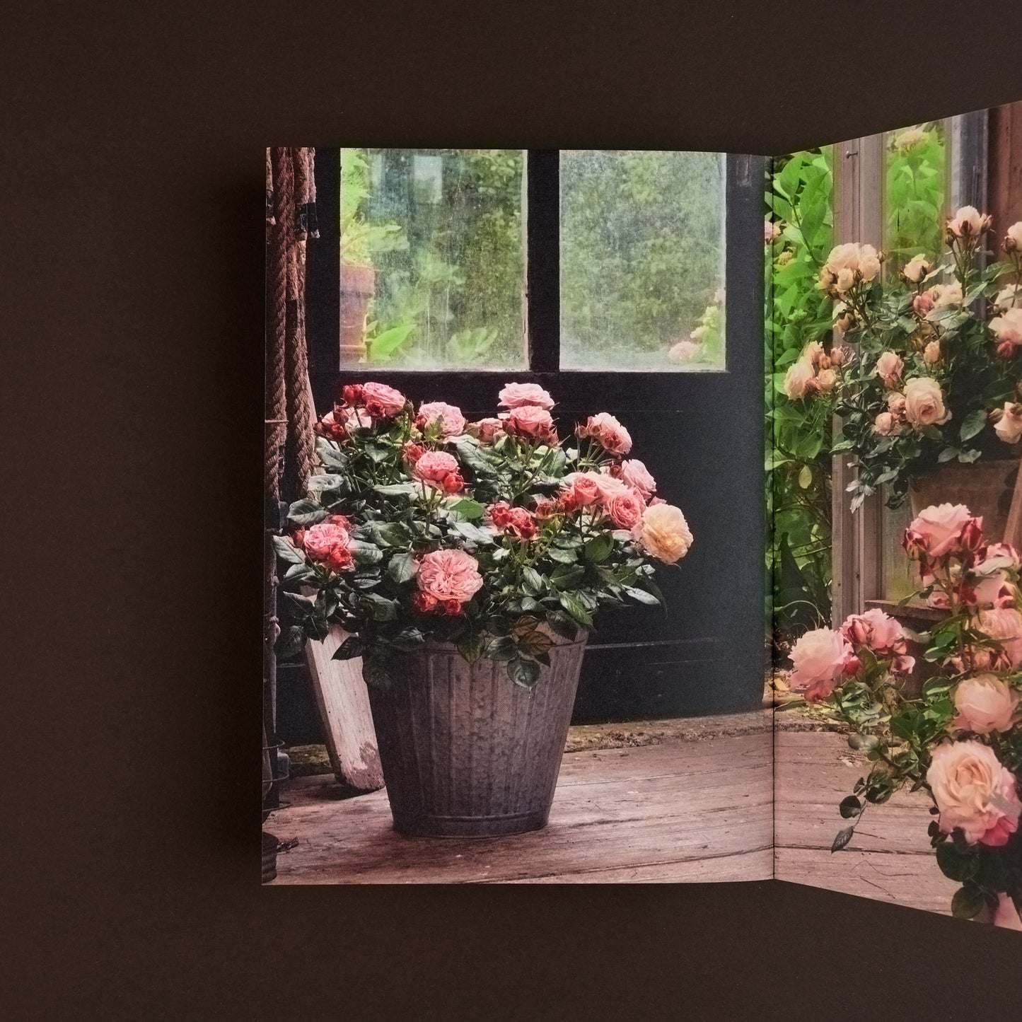 Spread van fotoboekje over rozen met een serie rozen in een mooie landelijke setting.