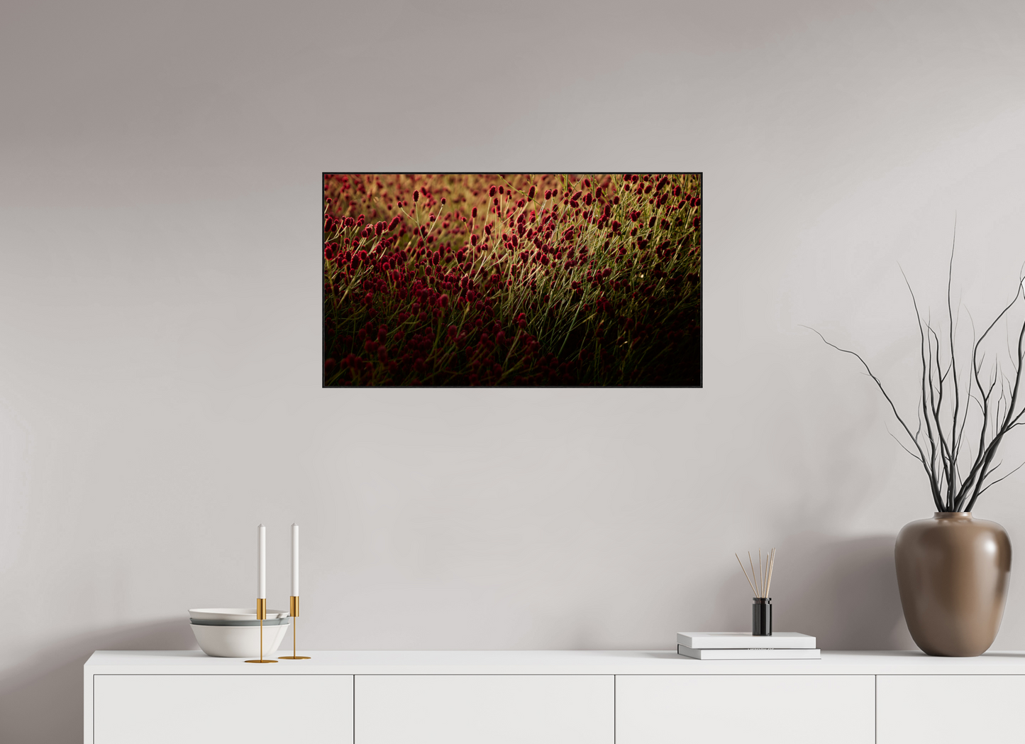 Pimpernel veld