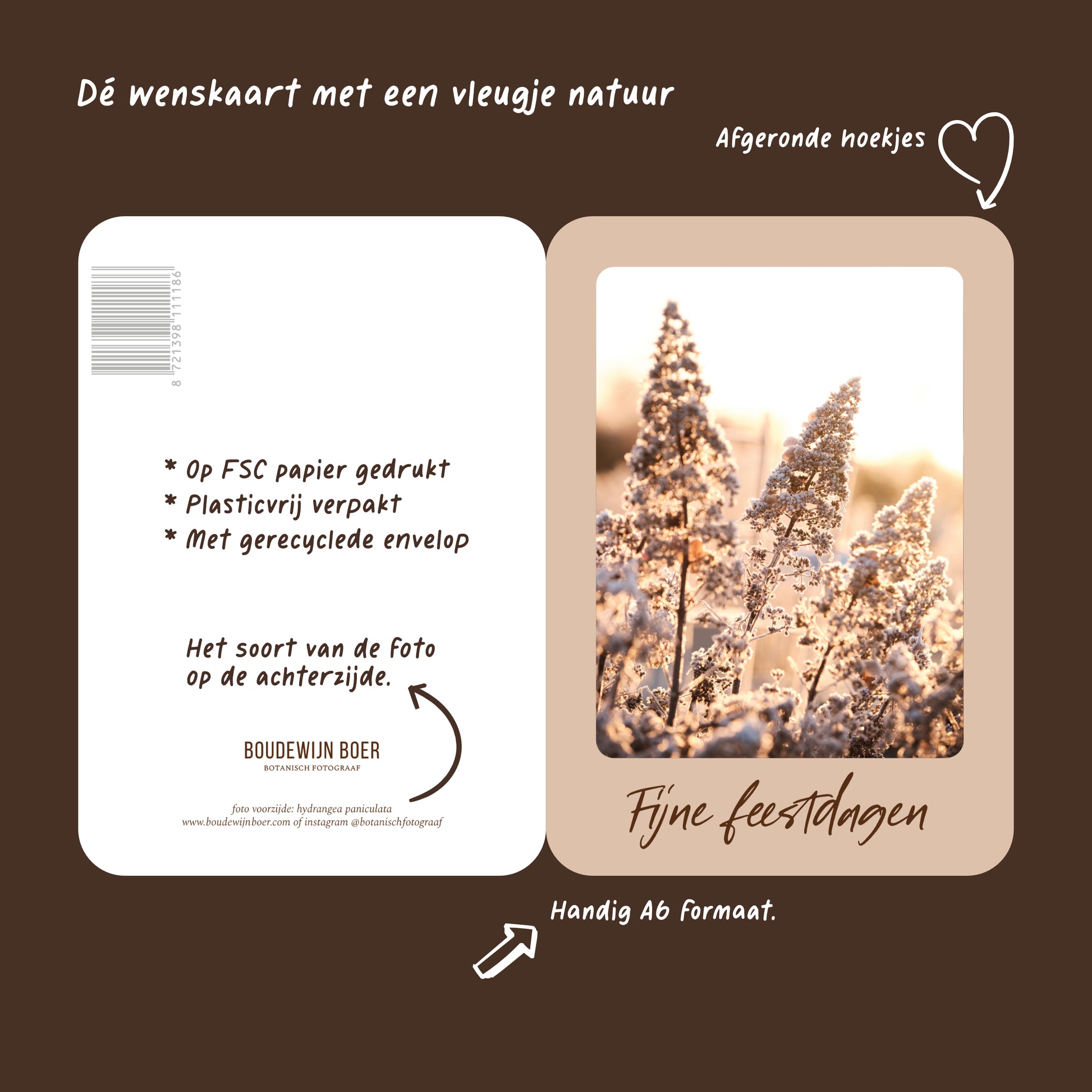 Productfoto met de unieke eigenschappen van een beige kerstkaart met de tekst "fijne feestdagen". Op de kaart een foto van een Hortensia met vorst.
