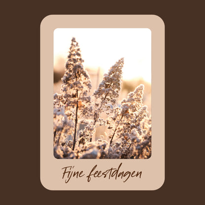 Productfoto van een beige kerstkaart met de tekst "fijne feestdagen". Op de kaart een foto van een Hortensia met vorst.