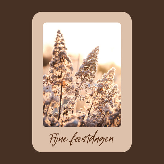 Productfoto van een beige kerstkaart met de tekst "fijne feestdagen". Op de kaart een foto van een Hortensia met vorst.