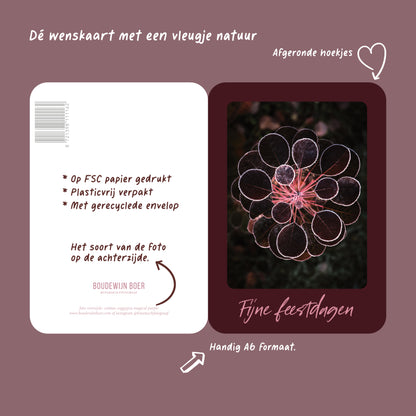 Productfoto met de unieke eigenschappen van een rode kerstkaart met de tekst "fijne feestdagen". Op de kaart een foto van een Cotinus.