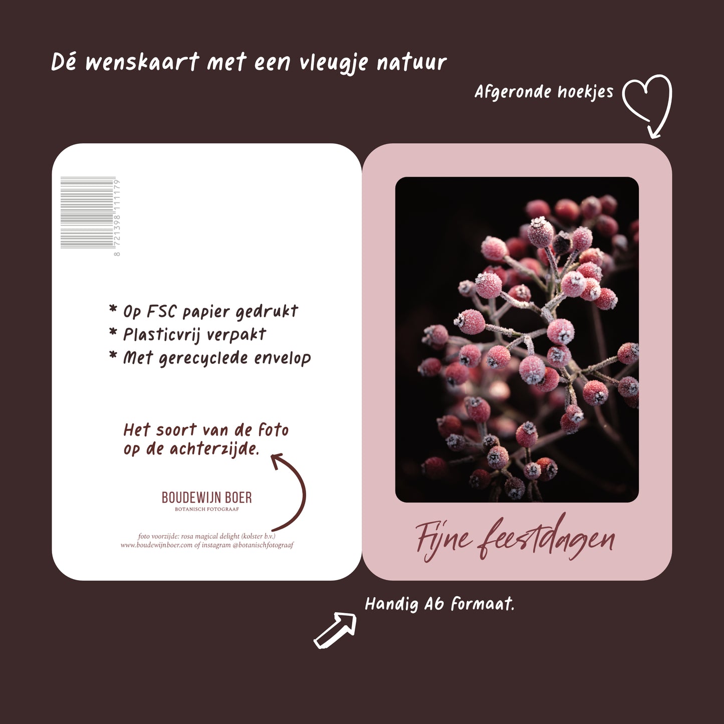 Productfoto met de unieke eigenschappen van een licht rode kerstkaart met de tekst "fijne feestdagen". Op de kaart een foto van rode rozenbottels met vorst. 