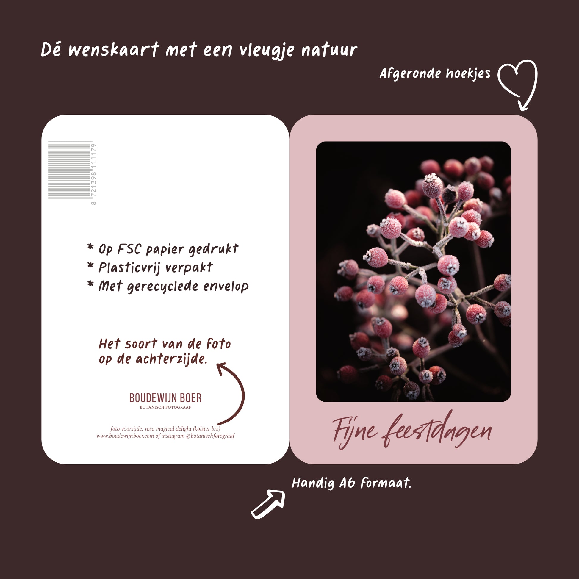 Productfoto met de unieke eigenschappen van een licht rode kerstkaart met de tekst "fijne feestdagen". Op de kaart een foto van rode rozenbottels met vorst. 