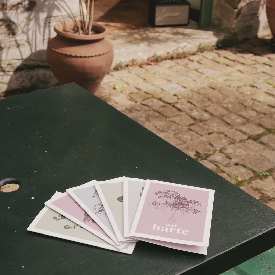 Een productvideo van botanische wenskaarten met minimalistische foto op de voorzijde in een sfeervolle Franse setting.