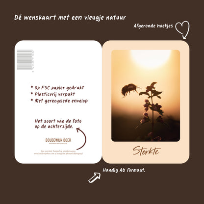 Productfoto met de unieke eigenschappen van een wenskaart met de tekst "sterkte" met een foto van een sneeuwbes bij ondergaande zon en een hommel die landt op de besjes.