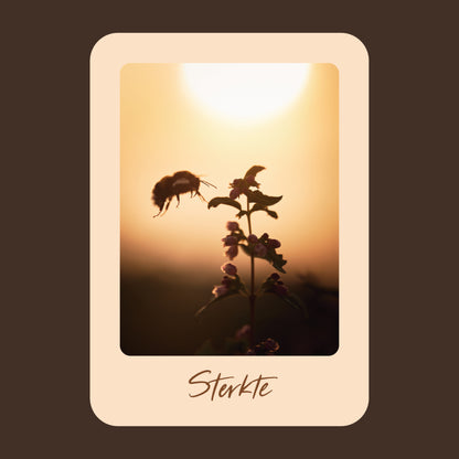 Productfoto van een wenskaart met de tekst "sterkte" met een foto van een sneeuwbes bij ondergaande zon en een hommel die landt op de besjes.