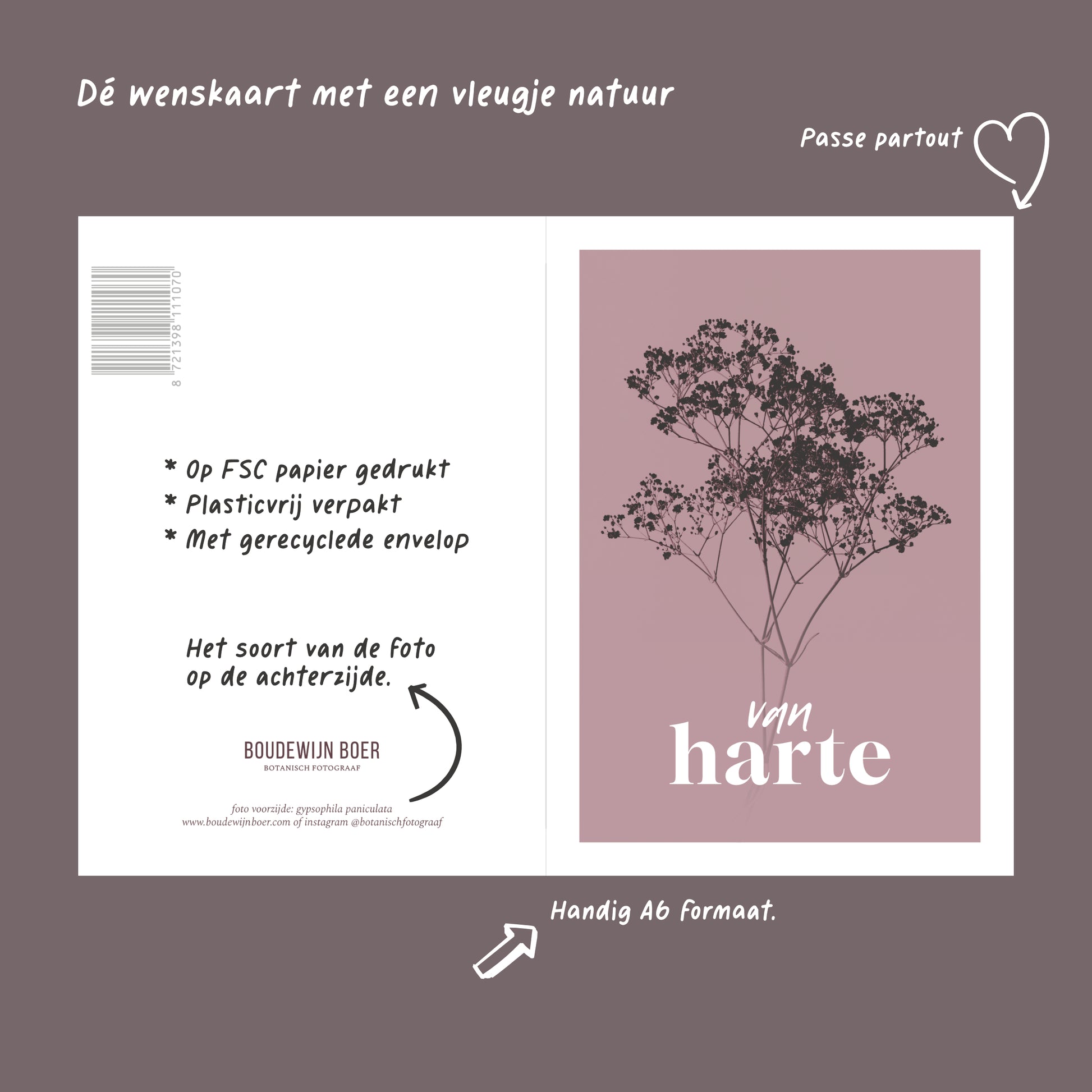 Productfoto met de unieke eigenschappen van een verjaardagskaart met de tekst "van harte". Op de kaart een oud roze foto van Gipskruid in een abstracte opstelling. 