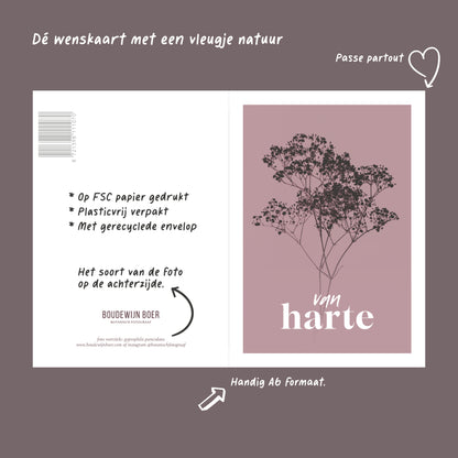 Productfoto met de unieke eigenschappen van een verjaardagskaart met de tekst "van harte". Op de kaart een oud roze foto van Gipskruid in een abstracte opstelling. 