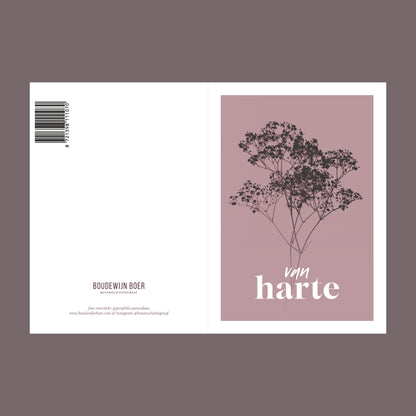 Voor- en achterzijde van een verjaardagskaart met de tekst "van harte". Op de kaart een oud roze foto van Gipskruid in een abstracte opstelling. 