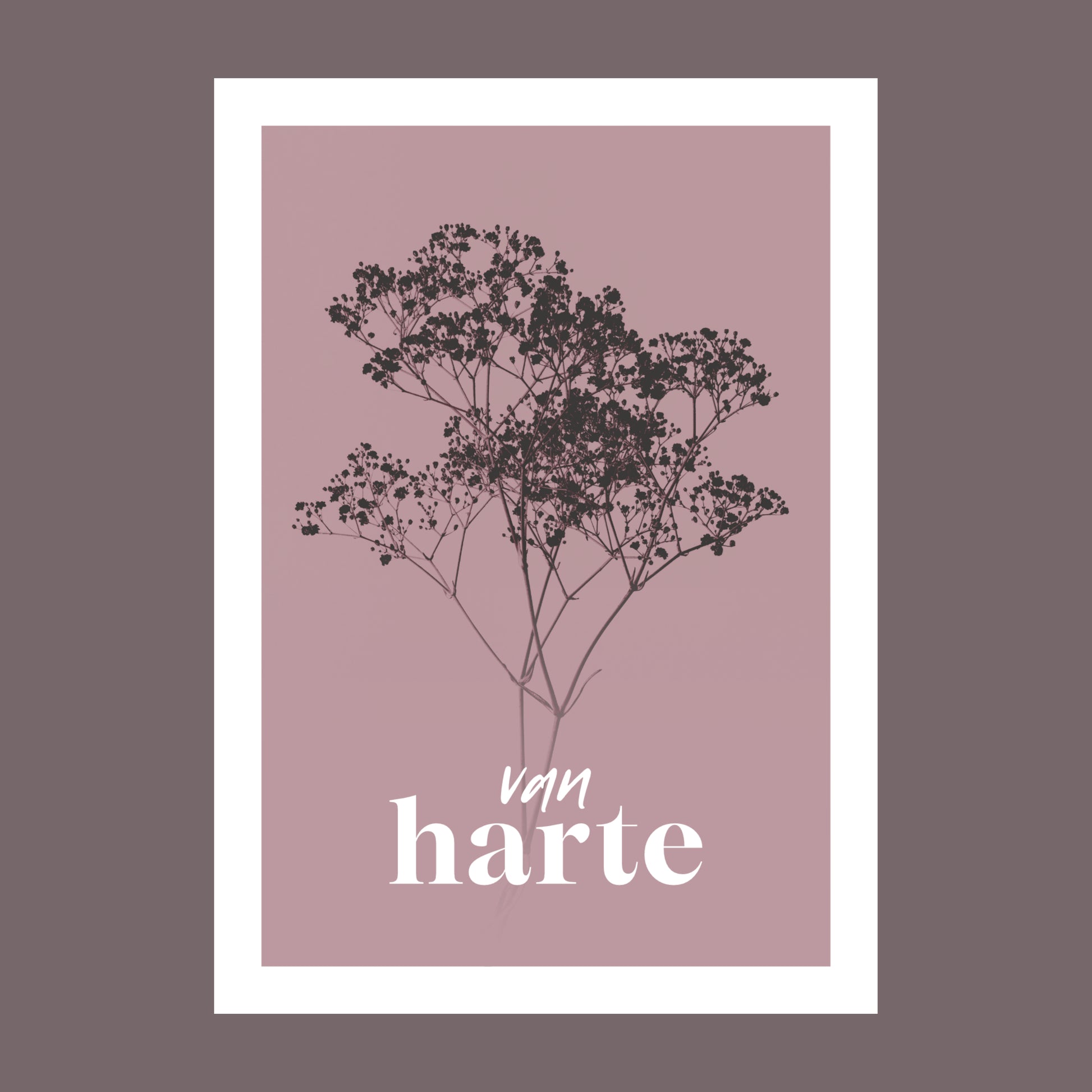 Productfoto van een verjaardagskaart met de tekst "van harte". Op de kaart een oud roze foto van Gipskruid in een abstracte opstelling. 